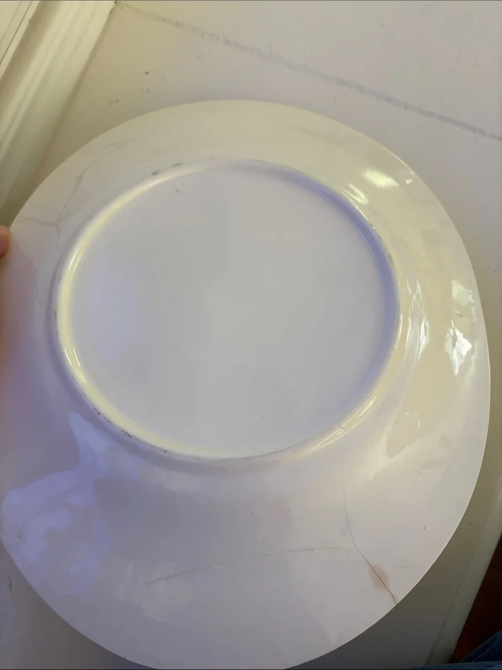 Vintage Blue Ridge Southern Pottery Platter in the Bluebell Bouquet Pattern